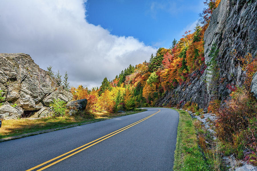 Blue Ridge Parkway Colors Photograph by Dan Carmichael