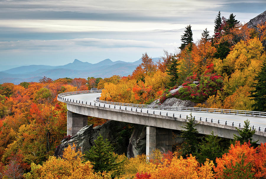 Fall Photograph - Blue Ridge Parkway Fall Foliage Linn Cove Viaduct by Dave Allen