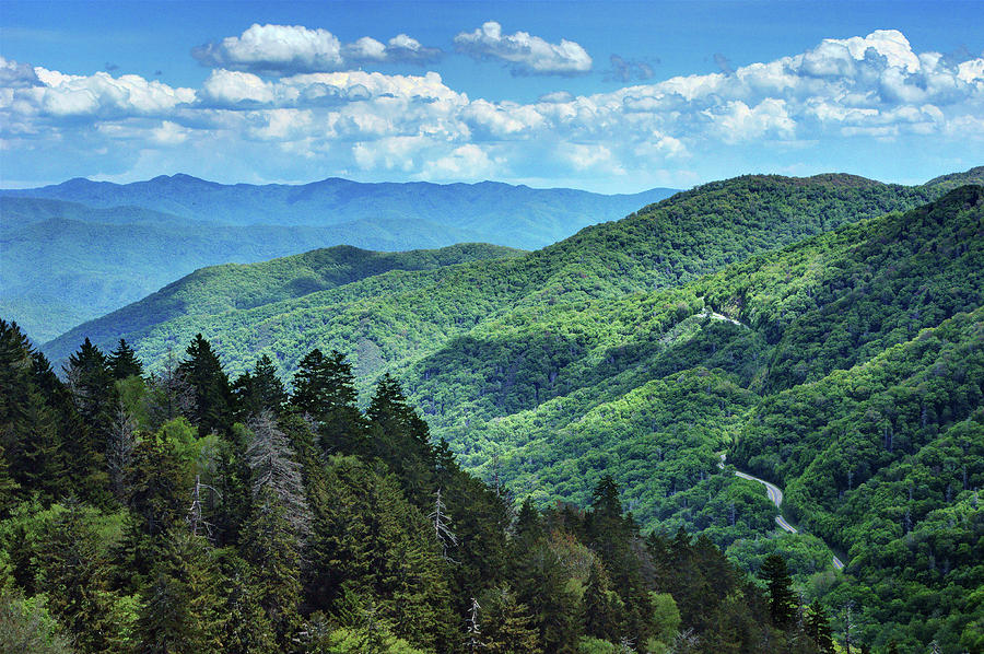 Highway Below - Great Smoky Mountains Photograph by Nikolyn McDonald