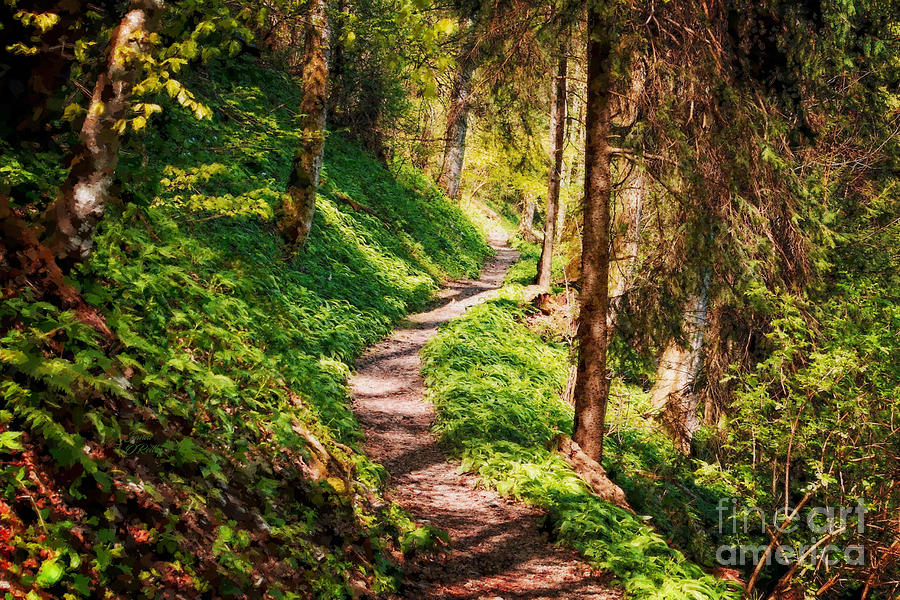 Blue Ridge Parkway Hiking Trail Mixed Media by Sandi OReilly