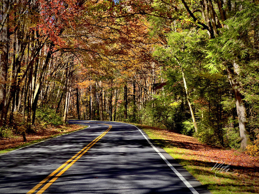Blue Ridge Parkway in fall Photograph by Meta Gatschenberger