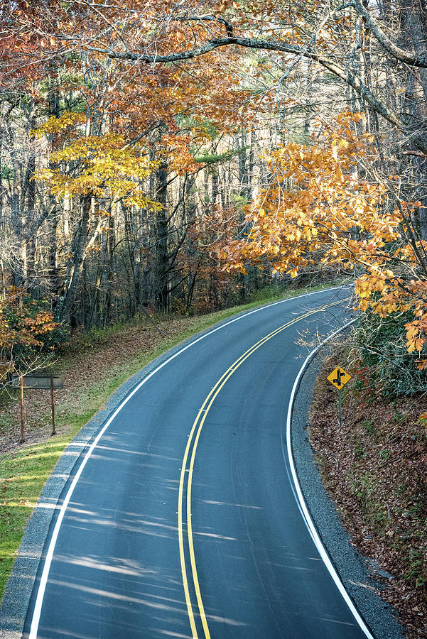 Blue Ridge Parkway in the Fall Photograph by Anthony Doudt
