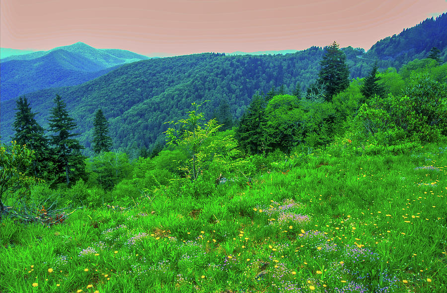 Blue Ridge Parkway in the Spring Photograph by James C Richardson