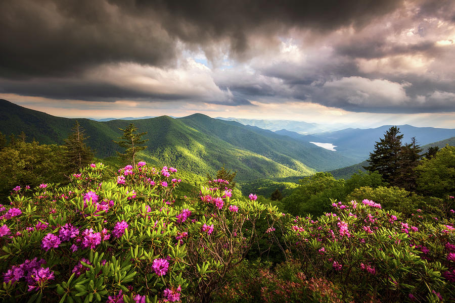 Blue Ridge Parkway Landscape Photography Asheville NC Appalachian Mountains North Carolina Photograph by Dave Allen