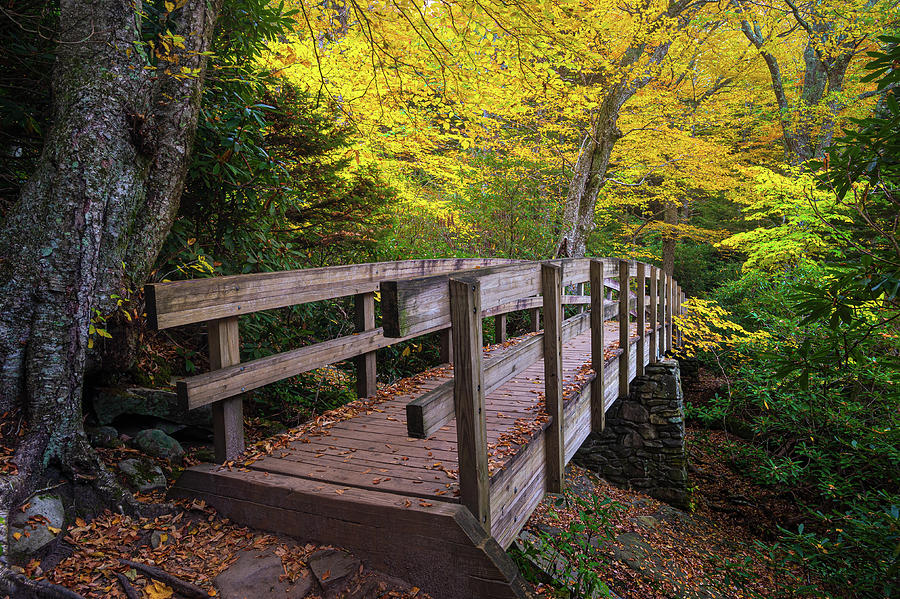 Blue Ridge Parkway NC A Bridge To Autumn Photograph by Robert Stephens