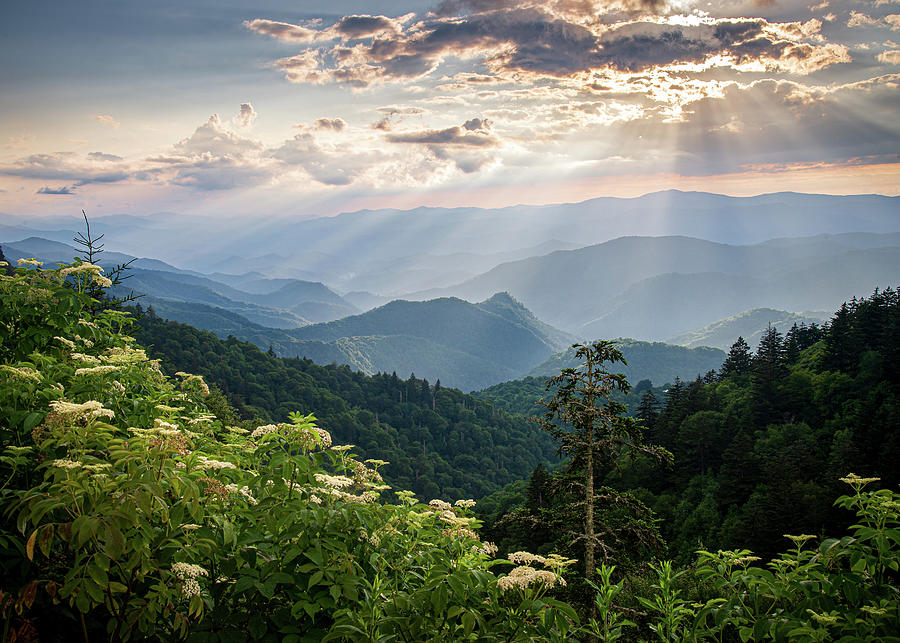 Blue Ridge Parkway NC Always Never The Same Photograph by Robert Stephens