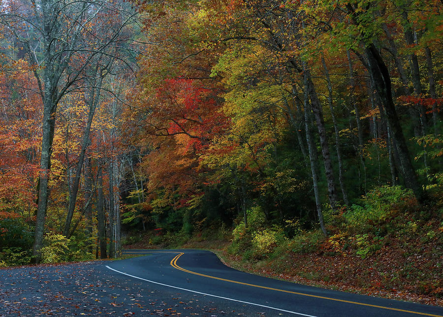 Blue Ridge Parkway Road In Autumn Photograph by Dan Sproul