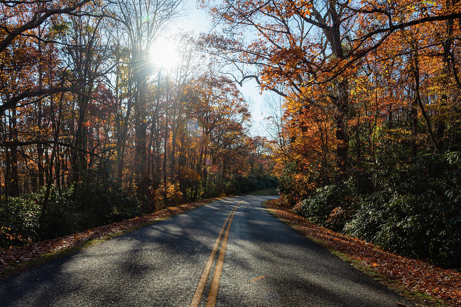 Blue Ridge Parkway Road Turning Left in the Fall Photograph by Anthony Doudt