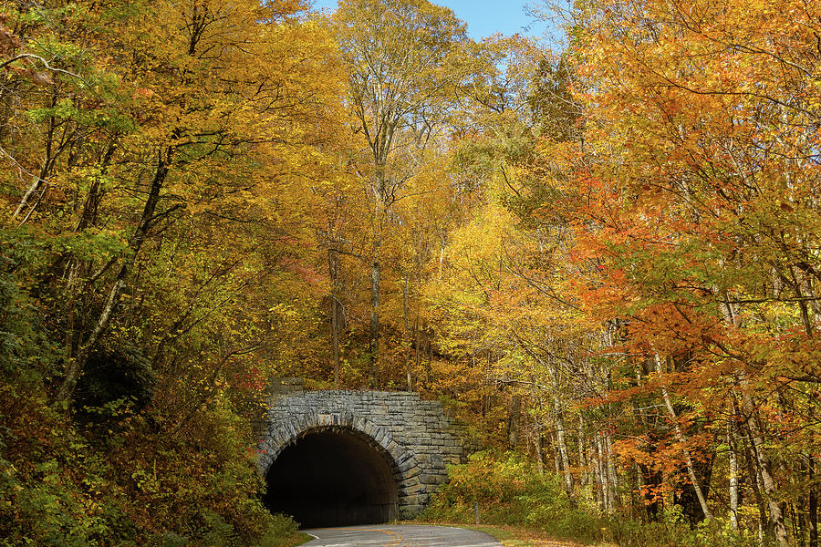 Blue Ridge Parkway Tunnel in Fall Photograph by Joni Eskridge