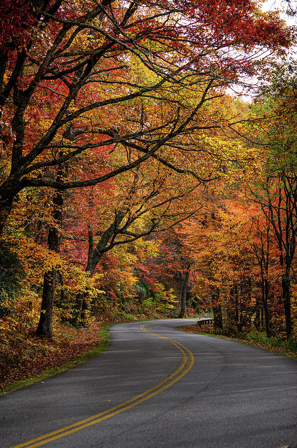 Blue Ridge Parkway - Vertical Photograph by Kirk Siegler - Fine Art America