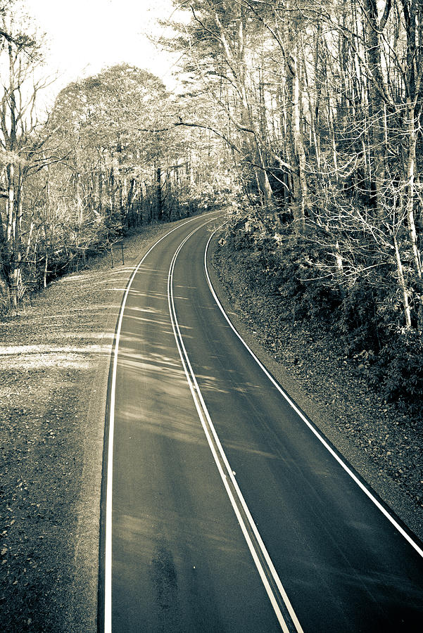 Blue Ridge Parkway Winding Road in Black and White Photograph by ...