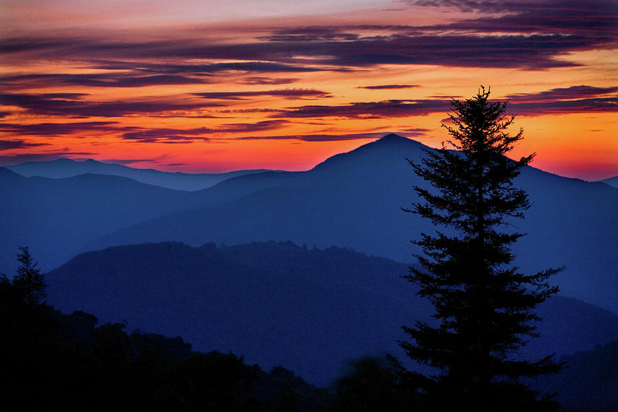 Blue Ridge Pine Tree Silhouette at Sunset Photograph by Dan Carmichael
