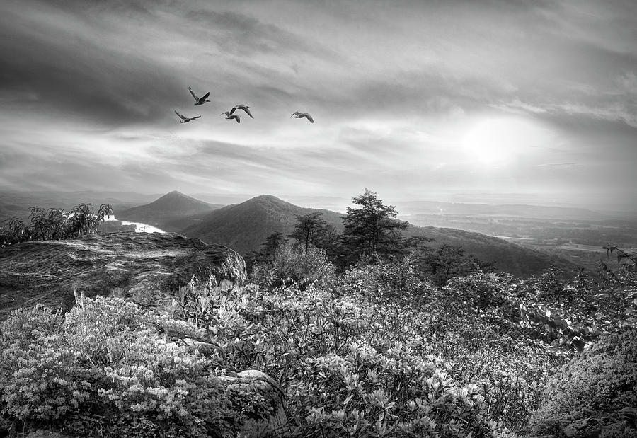 Blue Ridge Smoky Mountains Overlook Sunset Black and White Photograph by Debra and Dave Vanderlaan