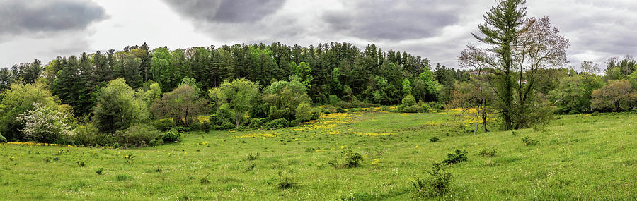 Blue Ridge Spring and Yellow Flowers Panorama 610 Photograph by Dan Carmichael