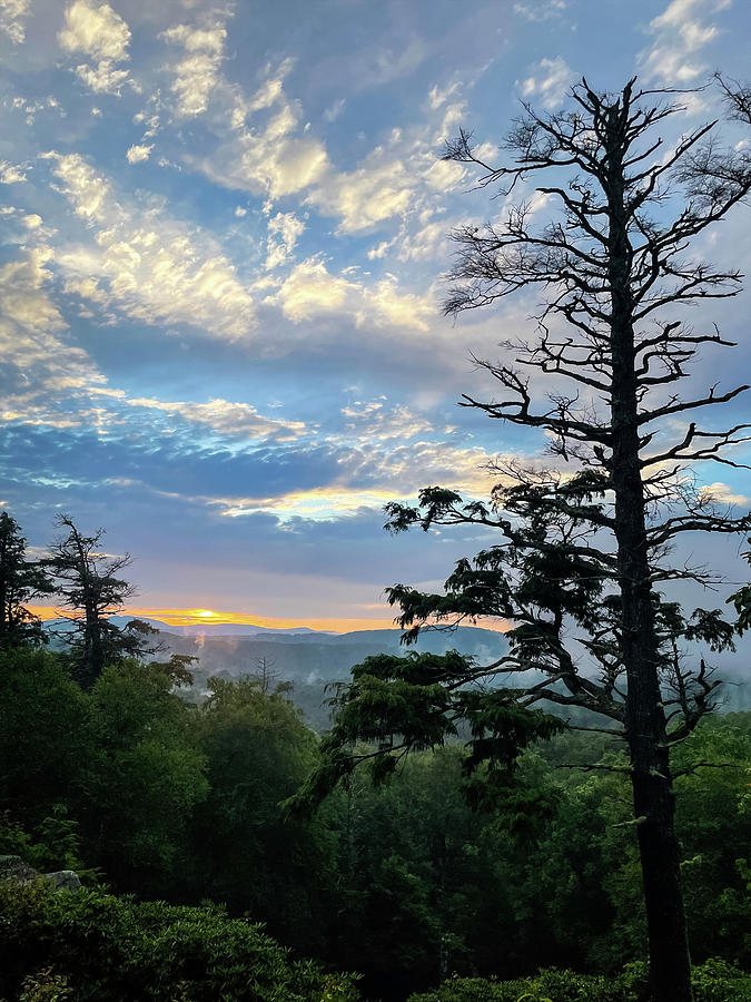 Blue Ridge Sunrise Photograph by Laura Fasulo