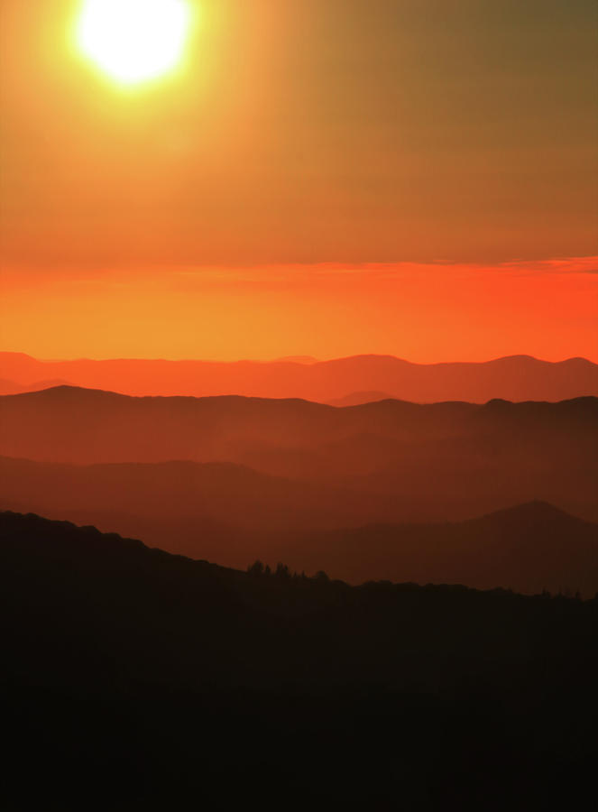 Blue Ridge Sunrise Vertical Painting by Dan Sproul