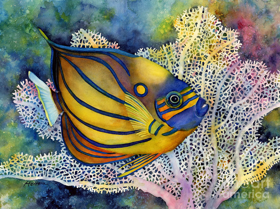 Fish Painting - Blue Ring Angelfish by Hailey E Herrera
