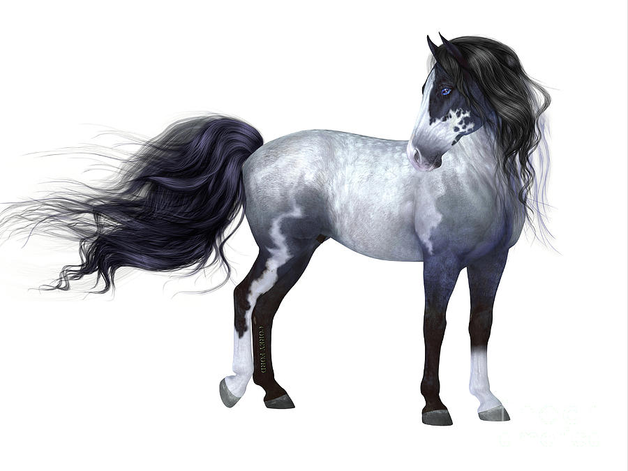 Blue Roan Horse Digital Art