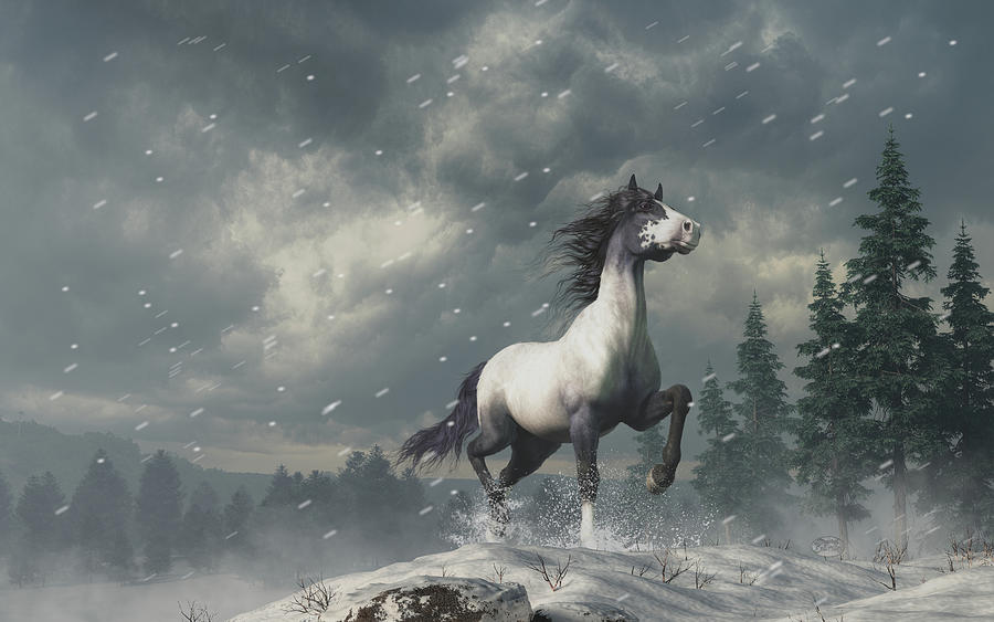 Blue Roan in a Blizzard - Print - Wild Horse Wall Art Digital Art by Daniel Eskridge