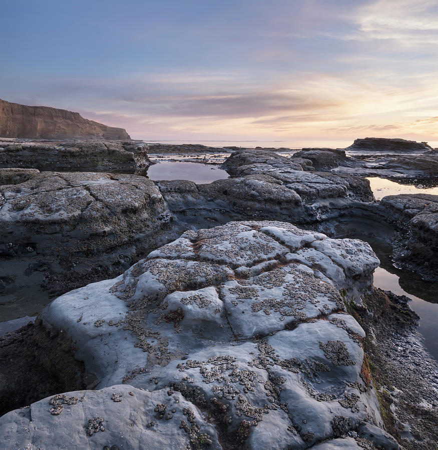 San Diego Photograph - Blue Rocks at Point Loma by William Dunigan
