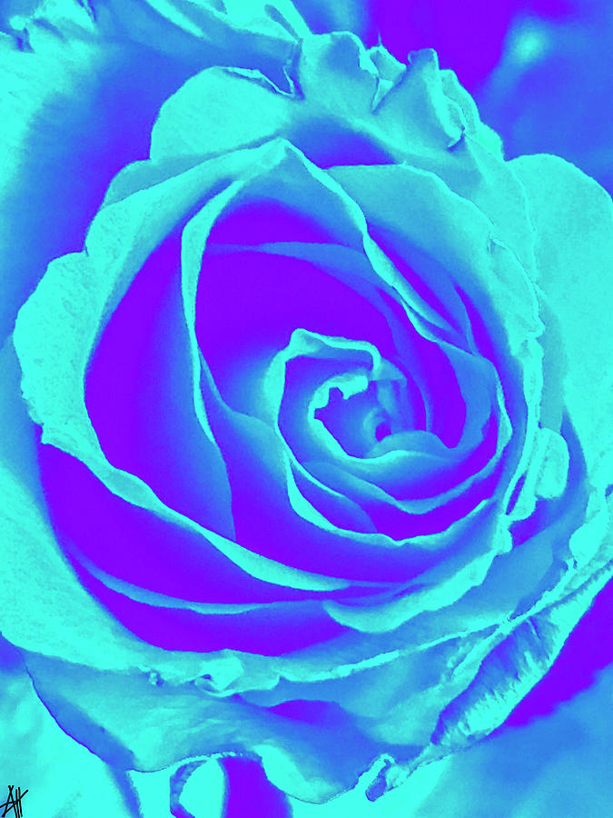 Blue rose Digital Art by Stella Kvadrat - Fine Art America