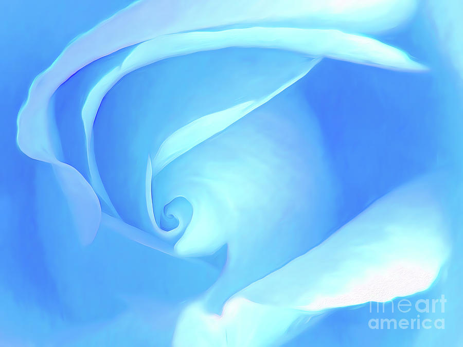 Blue Rose Blossom Pastel Photograph