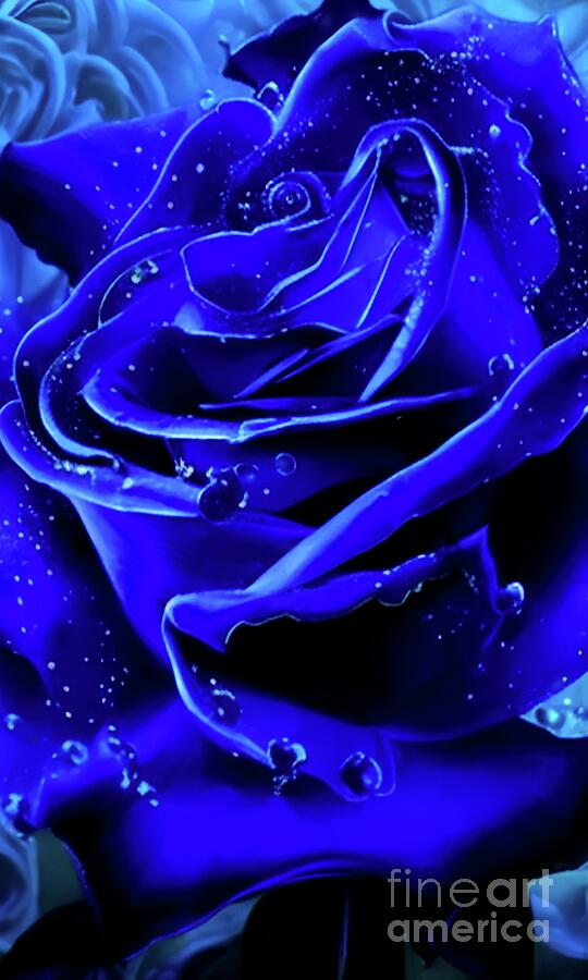 Blue Rose Digital Art by Chris Bee