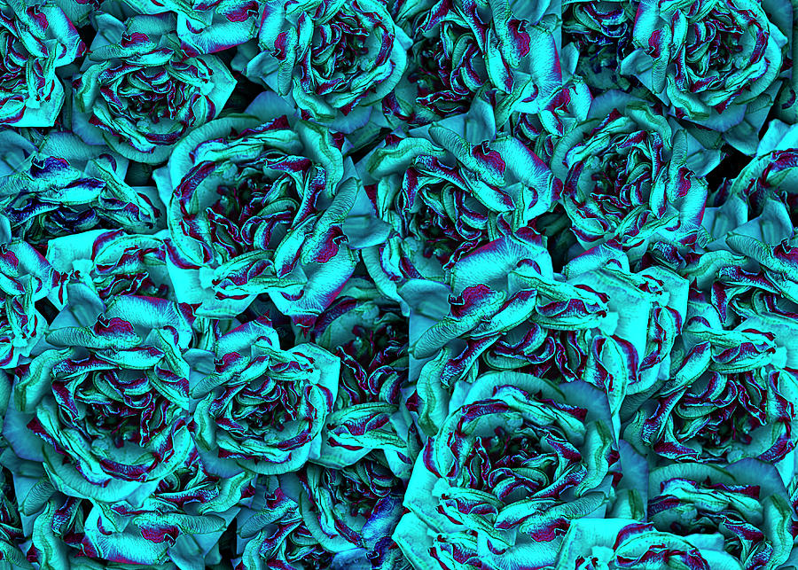 Blue Rose Collage Digital Art by Vanessa Thomas