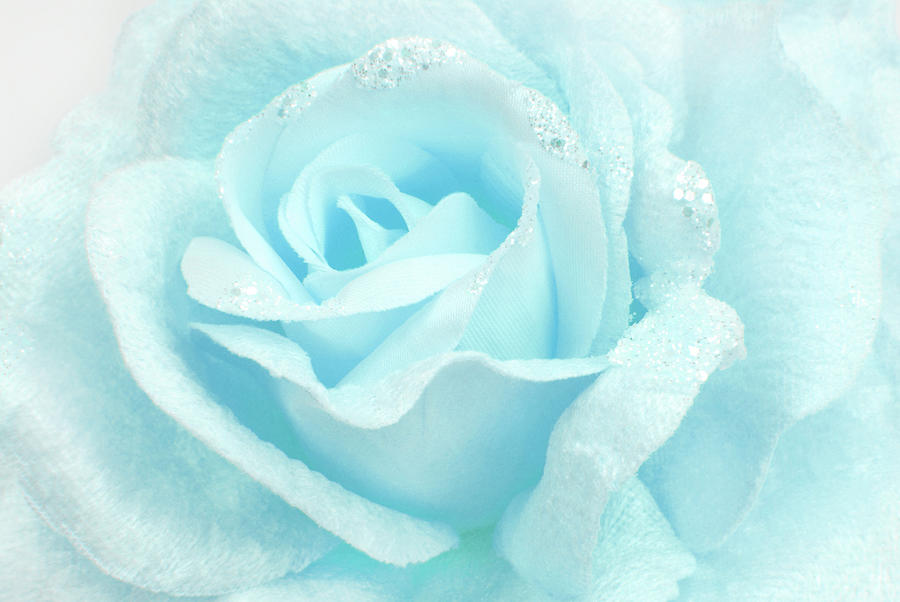 Blue rose fabric beige texture Photograph by Severija Kirilovaite
