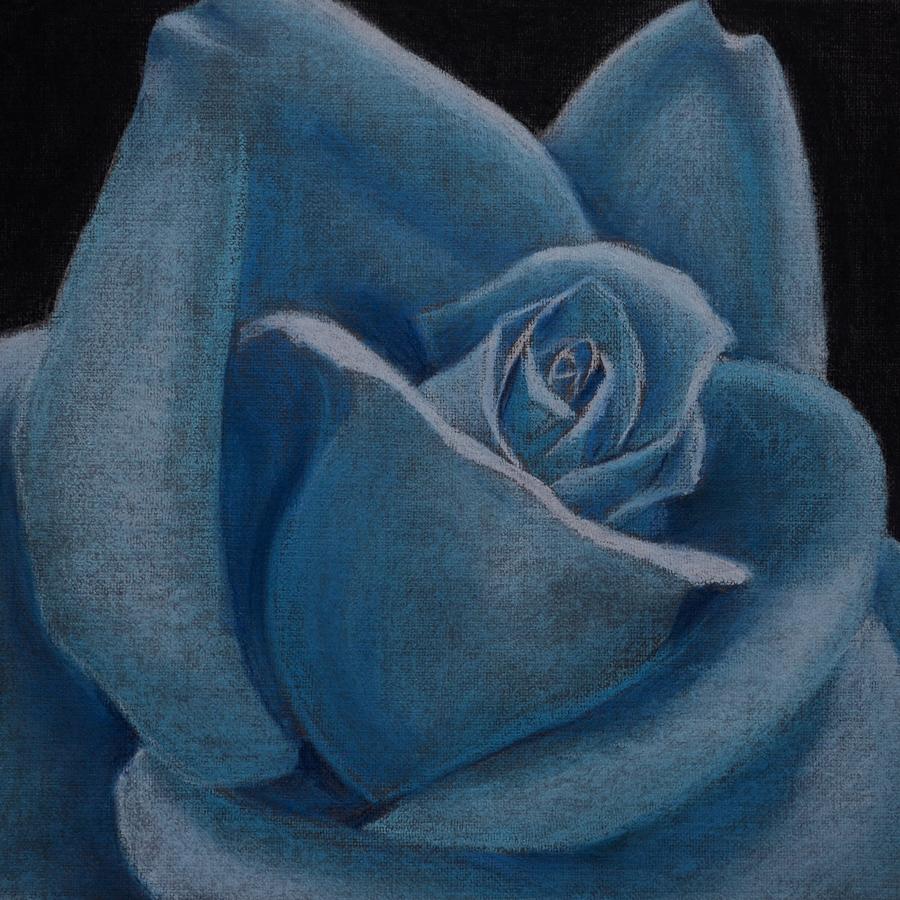 Blue Rose Drawing By Natalya Samoilova - Fine Art America