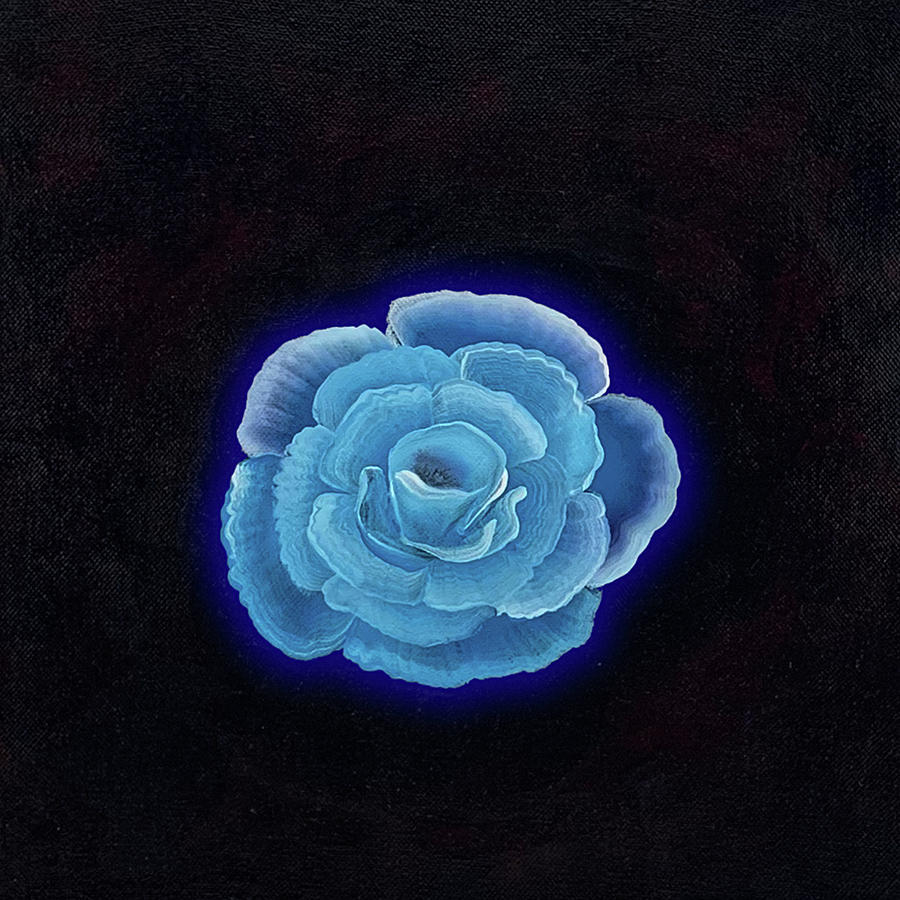 Blue Rose Painting by Wunderle