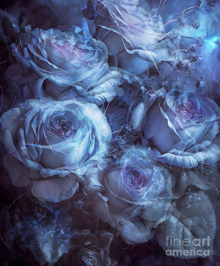 Blue Roses Art Mixed Media by Shanina Conway