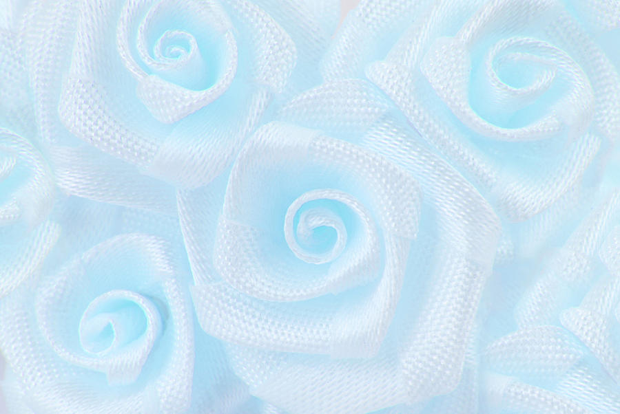 Blue Roses Flower Background Photograph by Severija Kirilovaite
