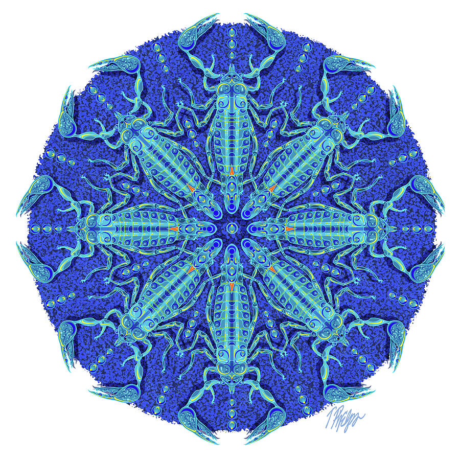 Blue Scorpion Nature Mandala Digital Art by Tim Phelps