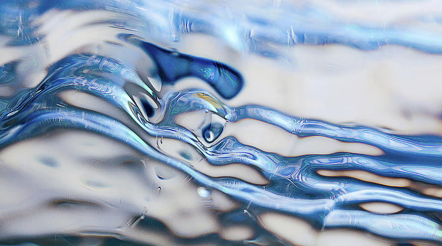Blue Shimmer Photograph by Connie Publicover