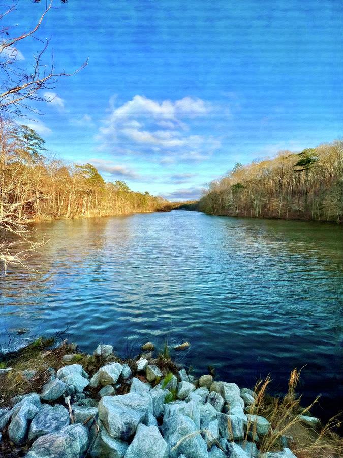 Tree Digital Art - Blue Skies and Lakes in Georgia by Pamela Storch