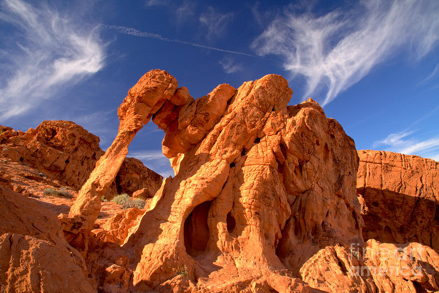 Nature Photograph - Blue Skies Over Elephant Rock by Adam Jewell