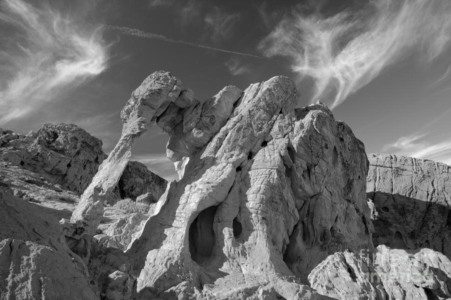Nature Photograph - Blue Skies Over Elephant Rock Black And White by Adam Jewell