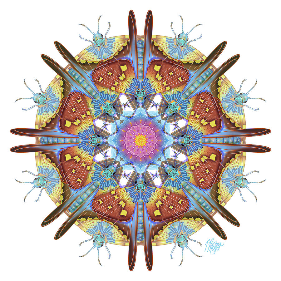 Blue Skipper Butterfly #1 Nature Mandala Digital Art by Tim Phelps