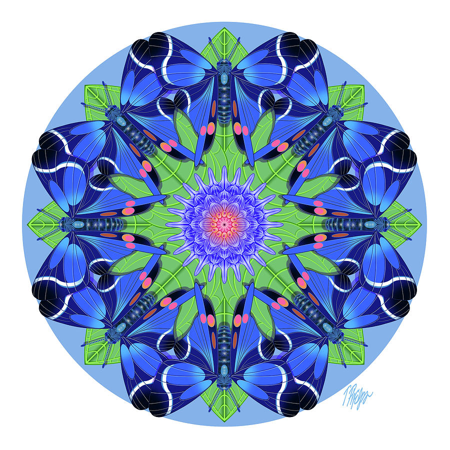 Blue Skipper Butterfly #3 Mandala Digital Art by Tim Phelps