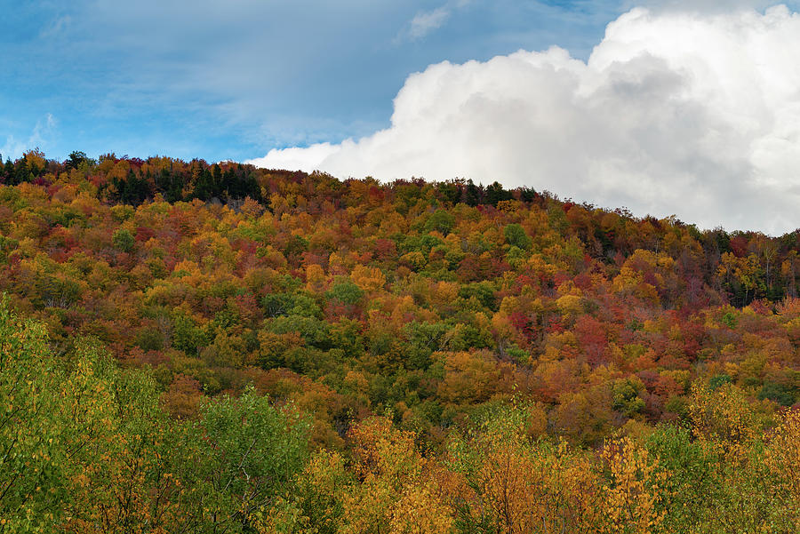Blue Sky and Clouds over a Fall Foliage Covered Mountain Photograph by William Dickman