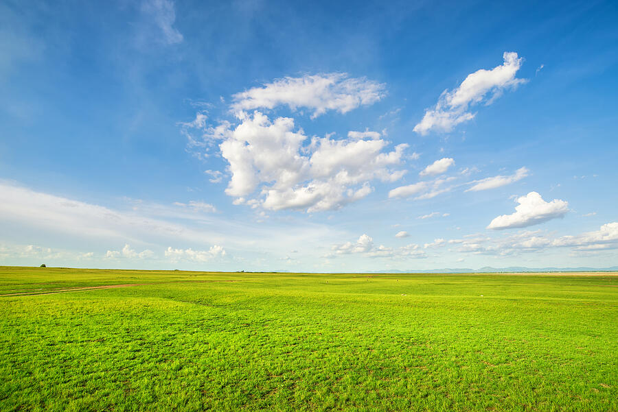 Blue sky and green grass field Photograph by Martinhosmart