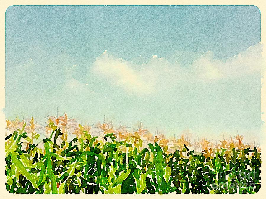 Blue Sky Corn Digital Art by Wendy Golden