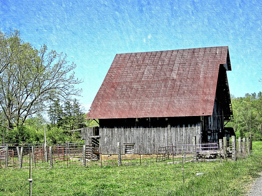 Blue Sky Photograph by Kristy Floyd - Fine Art America