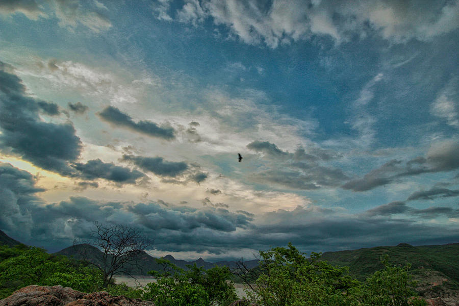 Blue Sky Mountains Photograph by Montez Kerr
