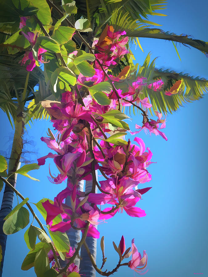 Blue sky Palm Trees and Flowers Photograph by Roberta Byram