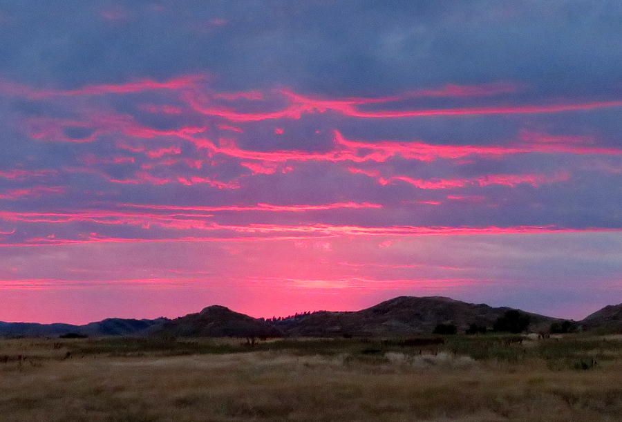 Sunset Photograph - Blue Sky Pink by Katie Keenan