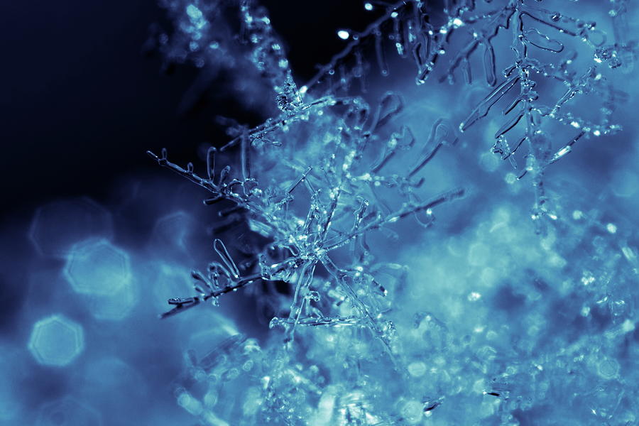 Blue snowflake Photograph by Ulrich Kunst And Bettina Scheidulin