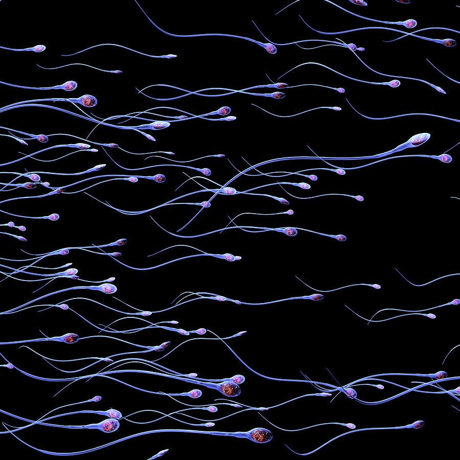 Blue Sperm on Black Digital Art by Russell Kightley