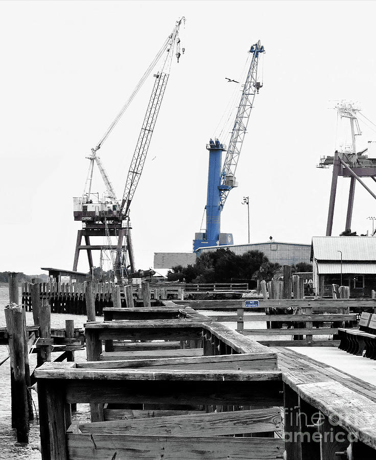 Blue Stack at the End of the Marina Photograph by Sharon Williams Eng